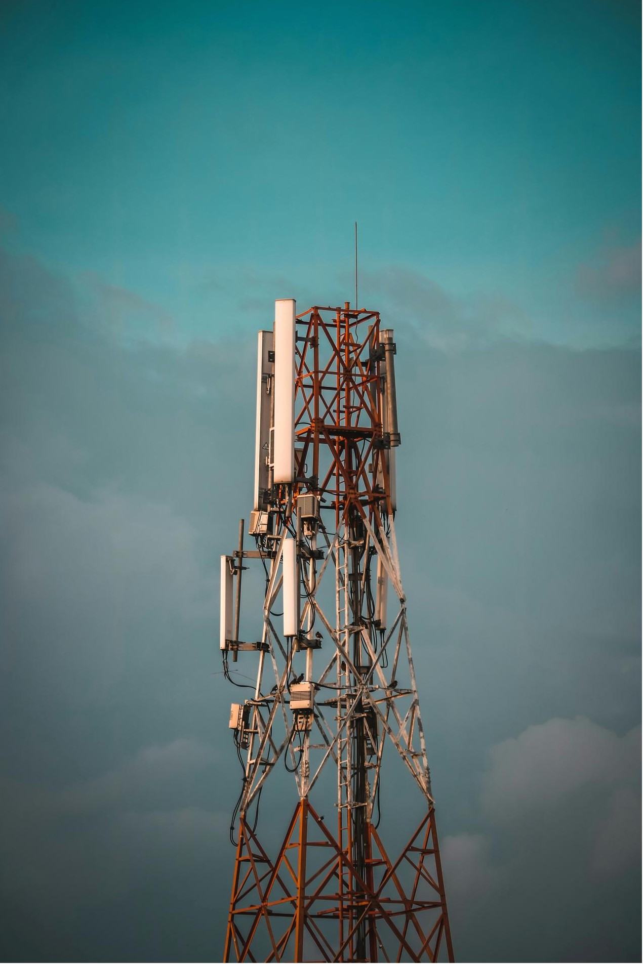 Field research in Liberec